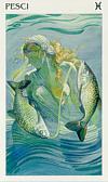 Pesci
