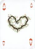 Asso di Cuori