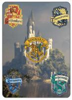 Il dorso delle carte